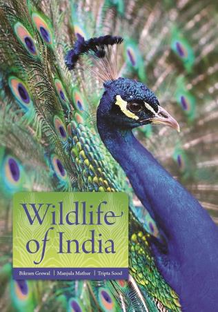 Book cover number 1 for Wildlife Of India written by Bikram Grewal, Manjula Mathur, Tripta Sood published by Princeton University Press