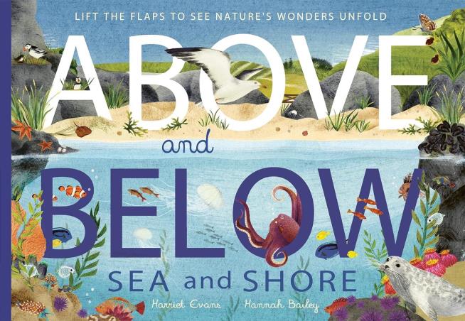 Book cover number 1 for Above And Below : Sea And Shore written by Harriet Cvans, Hannah Bailey published by Little Tiger Press