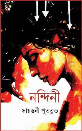 Book cover number 1 for Nandini written by Sayantani Putatunda published by Ananda Publishers Private Limited