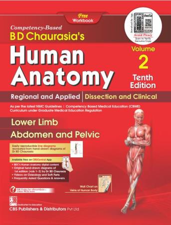 Book cover number 1 for B. D. Chaurasia's Human Anatomy Volume 2 (Lower Limb/ Abdomen And Pelvis) 10th Edition written by B. D. Chaurasia published by CBS Publishers & Distributors Pvt. Ltd.