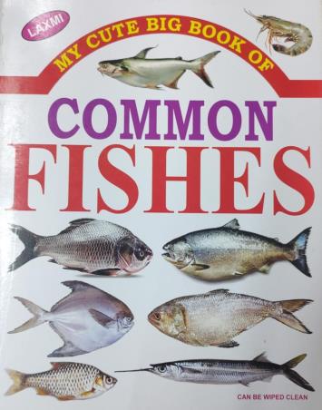 Book cover number 1 for Laxmi My Cute Big Book Of Common Fishes written by NA published by Bholanath Pustak Bhandar