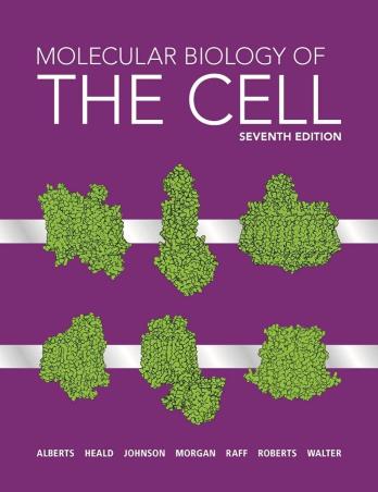 Book cover number 1 for Molecular Biology Of The Cell written by Bruce Alberts, Alexander Johnson, David Morgan, Martin Raff, Keith Roberts, Peter Walter, Rebecca Heald published by W. W. Norton & Company