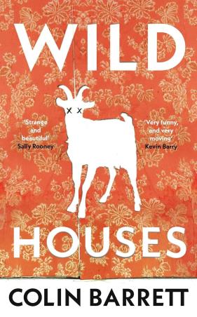Book cover number 1 for Wild Houses written by Colin Barrett published by Jonathan Cape