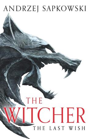 Book cover number 1 for The Witcher - The Last Wish written by Andrzej Sapkowski published by Gollancz