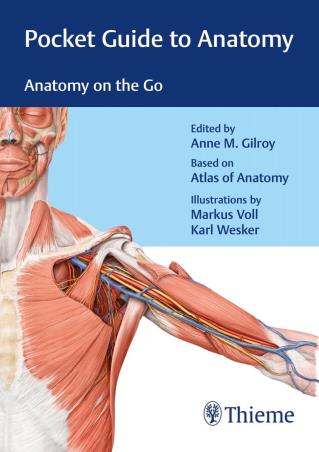 Book cover number 1 for Pocket Guide To Anatomy written by Anne M. Gilroy published by Thieme Medical Publishers