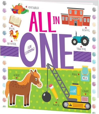 Book cover number 1 for All In One written by NA published by Brijbasi Art Press Ltd