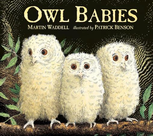 Book cover number 1 for Owl Babies written by Martin Waddell published by Walker Books