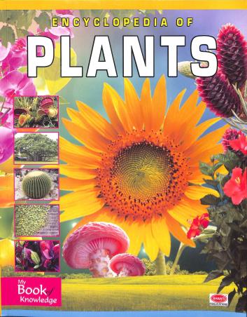 Book cover number 1 for Encyclopedia Of Plants written by NA published by Shanti Publications
