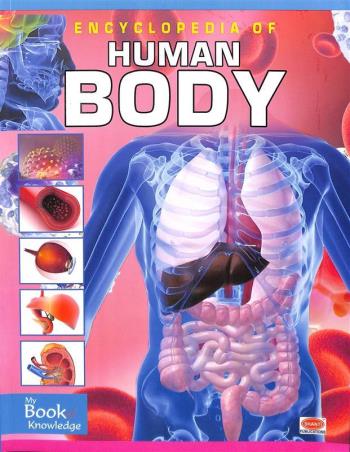 Book cover number 1 for Encyclopedia Of Human Body written by NA published by Shanti Publications