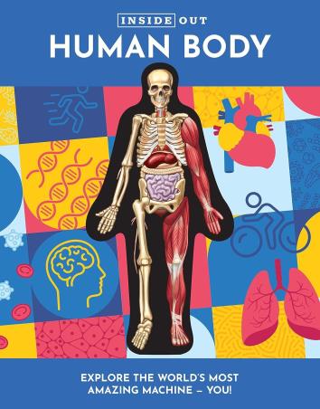 Book cover number 1 for Inside Out Human Body written by Luann Columbo published by Chartwell Books