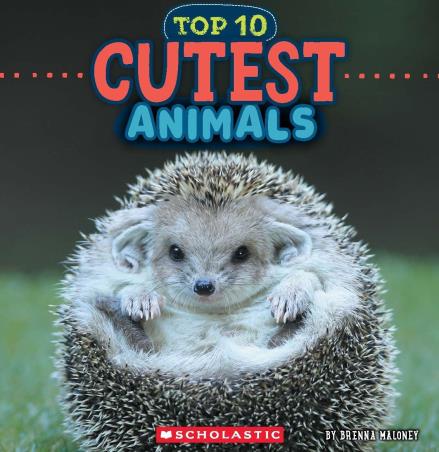 Book cover number 1 for Cutest Animals (Top 10) written by Brenna Maloney published by Scholastic