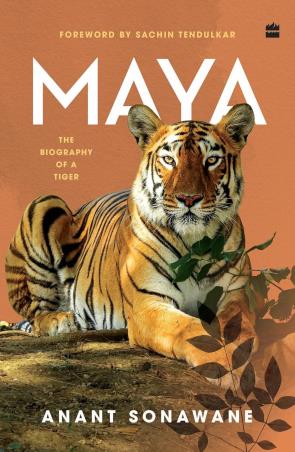 Book cover number 1 for Maya : The Biography Of A Tiger written by Anant Sonawane published by Harper Collins Publishers