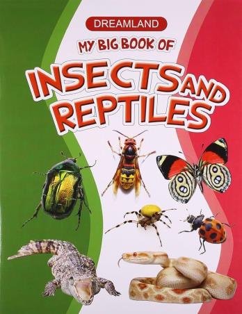 Book cover number 1 for Dreamland My Big Book Of Insetsand Reptiles written by NA published by Dreamland Publications