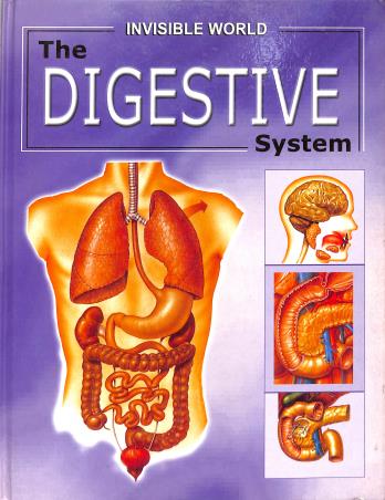 Book cover number 1 for The Digestive System written by NA published by Sterling Publishers Private Limited