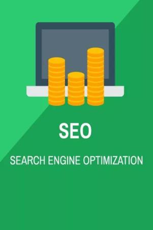 Book cover number 1 for SEO : Search Engine Optimization written by Vijay Patidar published by Notion Press
