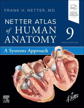 Book cover number 1 for Netter Atlas Of Human Anatomy : A Systems Approach written by Frank H. Netter published by Elsevier