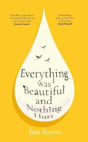 Book cover number 1 for Everything was Beautiful and Nothing Hurt written by Ben Reeves published by Atlantic Books