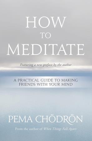 Book cover number 1 for How To Meditate : A Practical Guide To Making Friends With Your Mind written by Pema Chödrön published by St. Martin's Essentials