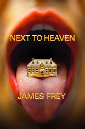 Book cover number 1 for Next To Heaven : A Novel written by James Frey published by Authors Equity