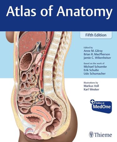 Book cover number 1 for Atlas Of Anatomy written by Anne M. Gilroy, Brian R. Macpherson, Erik Schulte, Jamie Wikenheiser, Michael Schuenke, Udo Schumacher published by Thieme Medical Publishers