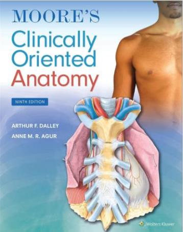 Book cover number 1 for Moore's Clinically Oriented Anatomy written by Arthur F. Dalley, Anne M. R. Agur published by Wolters Kluwer