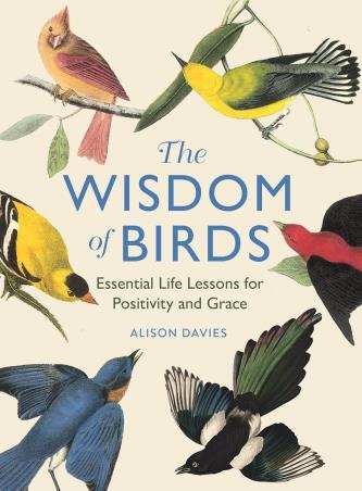 Book cover number 1 for The Wisdom of Birds written by Alison Davies published by Michael O'Mara Books Limited