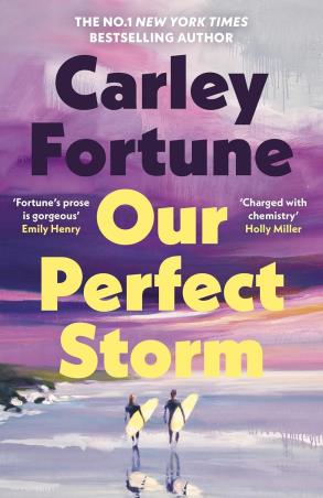 Book cover number 1 for Our Perfect Storm written by Carley Fortune published by Michael Joseph