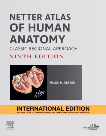 Book cover number 1 for Netter Atlas of Human Anatomy: Classic Regional Approach (International Edition) written by Frank H. Netter published by Elsevier
